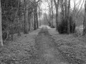 Path